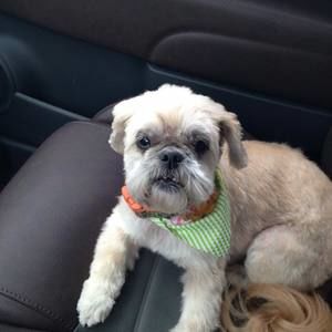 Meet your Posher, Shane